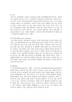 (영유아프로그램개발과평가 A형) 발도르프 프로그램의 이론적 기초, 교육목표 및 원리, 교육과정에 대해 설명하고-11