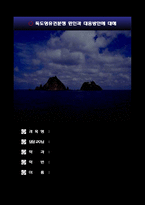 독도 영유권 분쟁 원인과 대응방안에 대해-1