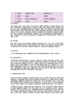 사회복지 정의의 발전 유형-5