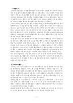 [마케팅] 아시아나항공의 현재와 미래의 마케팅전략 분석-11