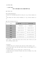 [마케팅] 아시아나항공의 현재와 미래의 마케팅전략 분석-12