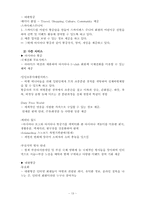 [마케팅] 아시아나항공의 현재와 미래의 마케팅전략 분석-13