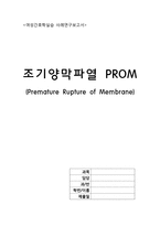 여성간호학 실습 조기양막파열(PROM, premature rupture of membranes) 케이스스터디 자료 A+-1