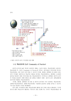 학습공동체를 이용한 공공조직혁신 사례연구-13