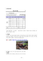 불고기브라더스 사업분석 및 신상품제안-20