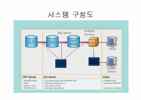 [경영정보] EIS- LG전자의 중역정보시스템사례와 타회사의 EIS `IPO` 예시-8