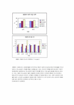 [마케팅] 르노삼성자동차 sm 여성마케팅전략(여성전용자동차)-12