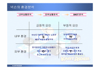 [마케팅분석] 넥슨 `카트라이더` STP전략을 통한 성공적 마케팅사례분석-6