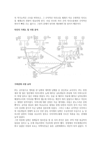 가족사정을 위해 구성원 간의 경계에는 어떠한 것이 있는지 설명하고, 기능적 의사소통을 위한 방안에 대하여 설명하시오 또한 가족 사정을 위해 가계도 또는 생태도를 활용하여 자신(또는 타인)의 대해 사정하시오-2