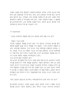 신라호텔 기업분석과 SWOT분석및 신라호텔 마케팅전략 사례분석과 향후전략방향 제시 - 호텔신라 마케팅 연구-12