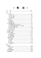 [마케팅] 30대이상을 위한 mp3플레이어`레인콤 아이리버` 마케팅전략-1