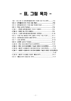 [마케팅] 30대이상을 위한 mp3플레이어`레인콤 아이리버` 마케팅전략-2