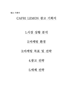 [광고학원론]CAFRI LEMON 광고 기획서-1