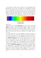 일반화학실험2 천연 염색-2