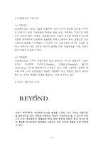 비욘드 BEYOND 성공요인과 마케팅전략(4P,STP,SWOT)분석및 비욘드 향후 마케팅 아이디어 제시-3