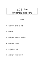 인간형 로봇 - 로봇산업의 미래 전망-1