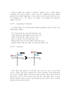 DORCO 도루코 기업분석-10