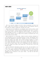 S ENERGY 재무분석 보고서 S ENERGY 회사 개요 S ENERGY 요약재무정보-4