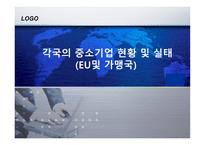 사회과학 각국의 중소기업 현황 및 실태 EU및 가맹국-1