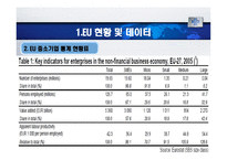 사회과학 각국의 중소기업 현황 및 실태 EU및 가맹국-11