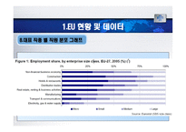 사회과학 각국의 중소기업 현황 및 실태 EU및 가맹국-16