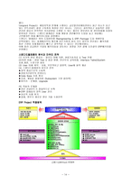 ERP의 효과와 문제점 및 구축사례-14