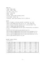 [국제경영] ㈜좋은사람들 속옷브랜드 예스(yes) 남아공진출전략-5