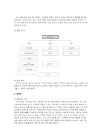 비교발전행정론 이스라엘 분석 보고서-7