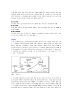 자국기업의 해외진출에 대한 장려책 자국기업 해외진출 지원책 자국기업 해외진출-4