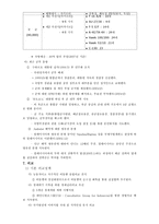 비교발전행정론 인도네시아 Indonesia-7