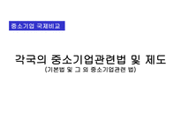 사회과학 각국의 중소기업관련법 및 제도-1