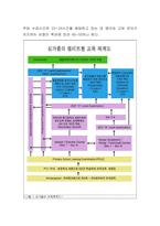 교육학 싱가폴 교육 개혁-13