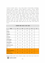 [소비자행동론] 소비자 상표 관계 및 상표 충성도에 관한 연구-11