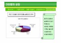 [기업경영론] 크린랩 사례개발-15