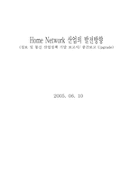 홈네트워크산업 발전 방향-1