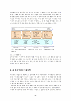 HPi(wibro) 와 HSDPA의 통신기술로서의 비교-9