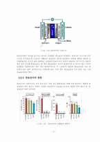 [졸업][수소에너지] 열료전지와 열료전지산업 연구-11