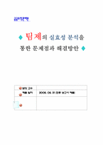 [공공조직관리론] 팀제의 실효성 분석을 통한 문제점과 해결방안-1