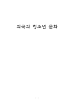 사회과학 외국의 청소년 문화-1