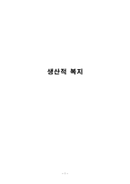 생산적 복지 한계 생산적 복지정책 주요쟁점-1