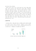 러시아 천연가스 배송관 사업-18