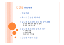 내분비계 갑상샘 Thyroid-2