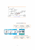 [졸업][경영학] (주)레인콤의 기업경영전략 연구-7