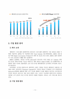 [졸업][경영학] (주)레인콤의 기업경영전략 연구-10