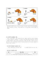 아동발달 - 성숙이론, 학습이론, 정신분석이론, 인지발달이론, 생태체계이론-4