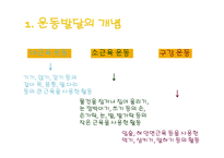 운동발달 및 적응기술 발달과 이론-4