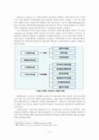 [경제학] 금융안정과 규제-11