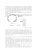 조직구조의 내용 행정론-7