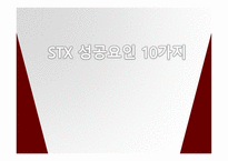 stx성공요인 레포트-1