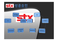 stx성공요인 레포트-5